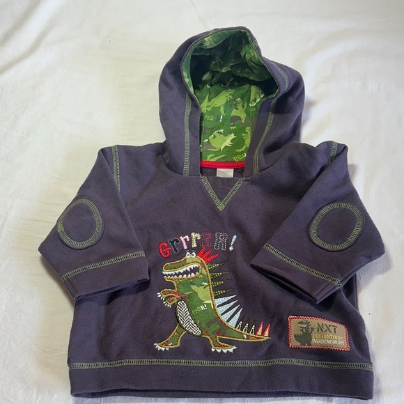 Next - NWOT - Kids Dinosaur Hoodie - Dark Gray and Green - Picture 1 of 4